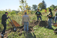 TD Volunteers Planting Trees at the BNC