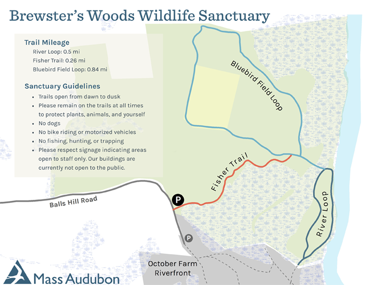 Brewster's Woods trail map in full color