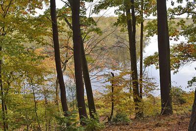 View of the Concord River from Davis Hill in autumn at Brewster Woods Wildlife Sanctuary