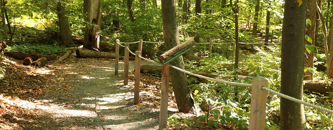 Sensory trail at Broad Meadow Brook Wildlife Sanctuary