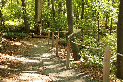 The All Persons Trail in spring at Broad Meadow Brook Wildlife Sanctuary