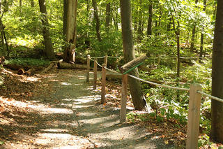 The All Persons Trail in spring at Broad Meadow Brook Wildlife Sanctuary