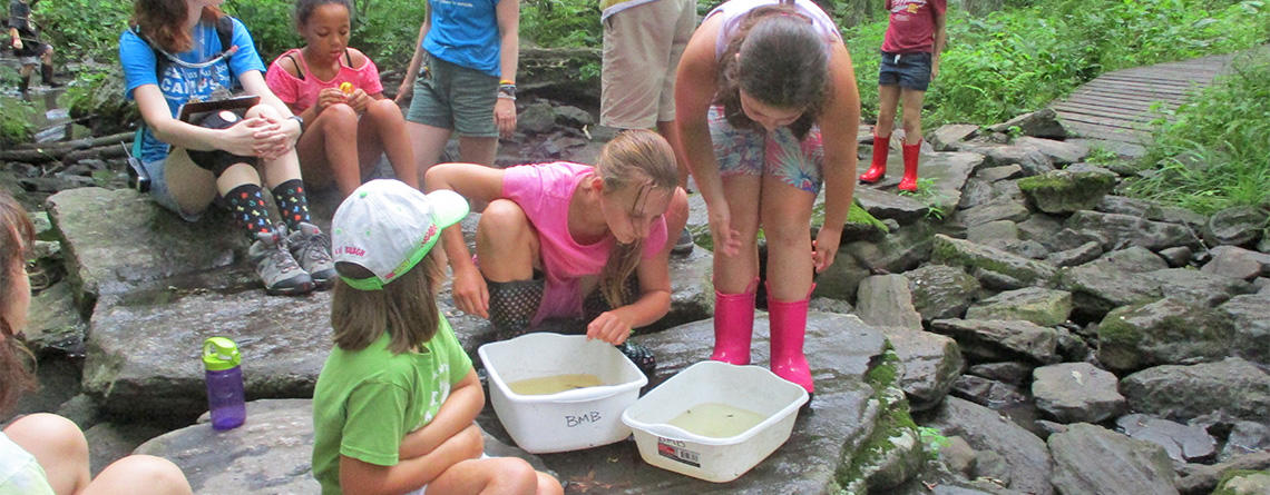 Broad Meadow Brook campers investigating a creek together