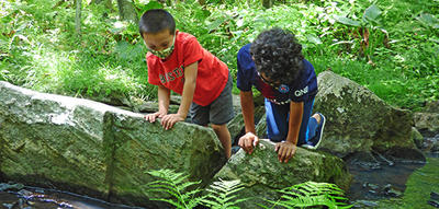 Campers wearing face masks exploring a brook together at Broad Meadow Brook Wildlife Sanctuary