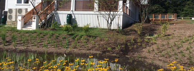 Broad Meadow Brook’s new Barbara Elliot Fargo Education Center is surrounded by rain gardens that filter water from the parking lots and infiltrate it back into the ground