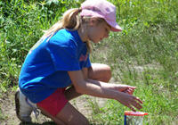 A girl collecting insects