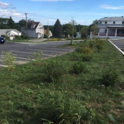 One of two no-mow areas decreases the amount of impervious surface in the parking lot and increases infiltration