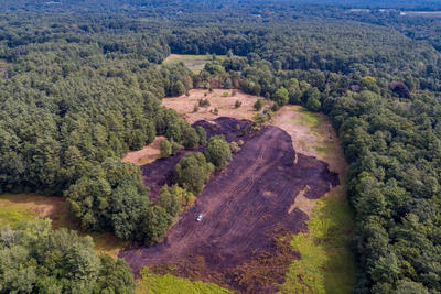 Aerial view of brush fire aftermath