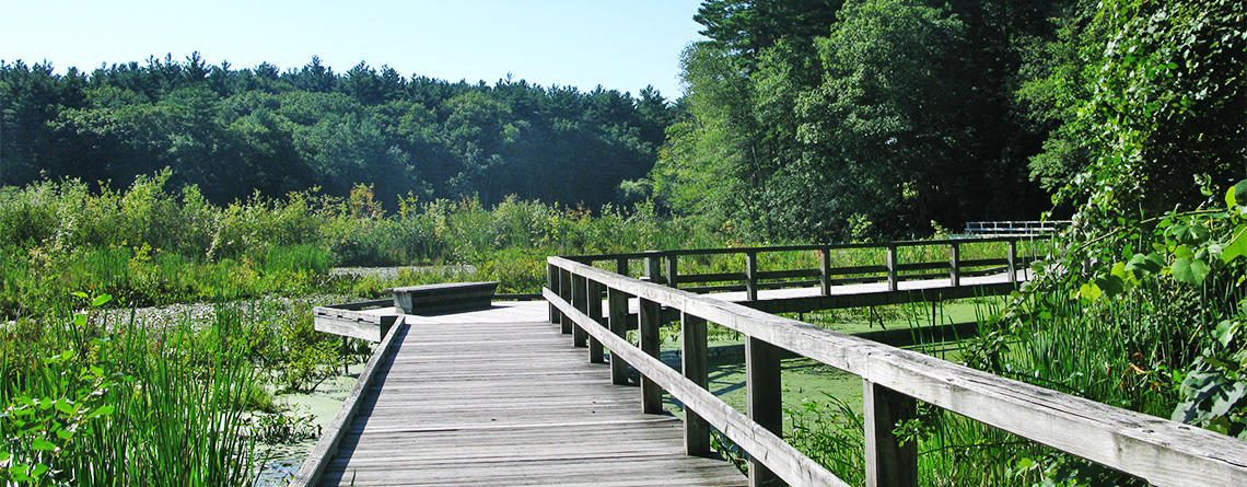 Boardwalk trail at Broadmoor Wildlife Sanctuary