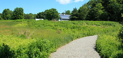 Meadow trail at Broadmoor in summer