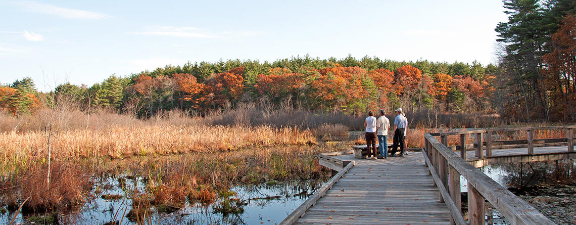 People on Broadmoor's boardwalk in fall