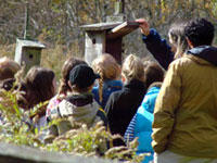 Students checking a nest box at Broadmoor Wildlife Sanctuary