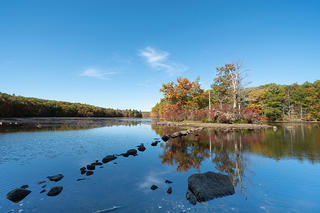 View of the pond in early autumn at Burncoat Pond Wildlife Sanctuary
