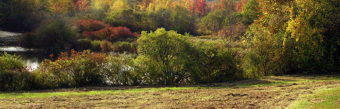 Canoe Meadows trail © Gina King