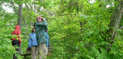 Birding at Canoe Meadows Wildlife Sanctuary