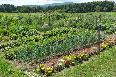 Community garden plots at Canoe Meadows Wildlife Sanctuary