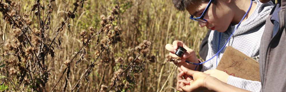 Boy using field microscope