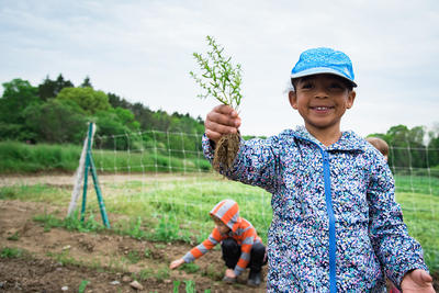 A young child standing in a farm field proudly holds up a plant and smiles