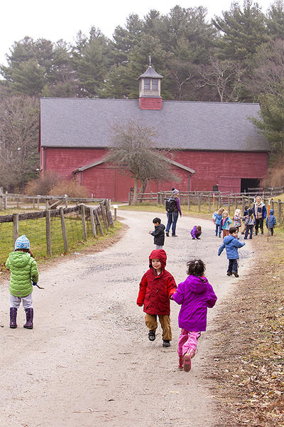 Drumlin preschoolers playing in farmyard in fall