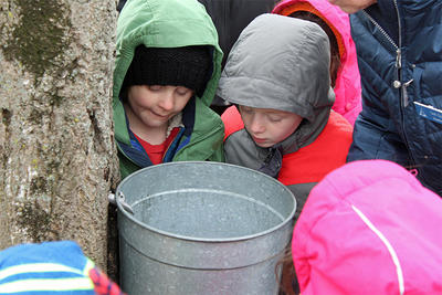 Examining a sap bucket during Winter Vacation Week