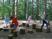 Kids playing on the stump jump at Drumlin Farm Wildlife Sanctuary