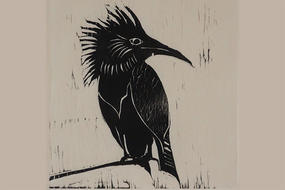 Kingfisher Woodcut Print © Amy Waltch