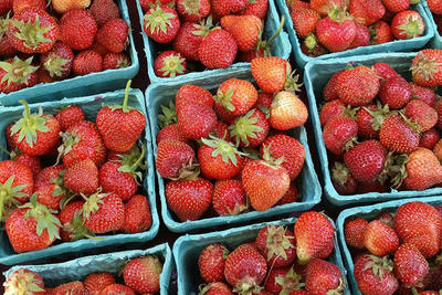 Pints of spring strawberries from Drumlin Farm Wildlife Sanctuary