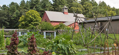 View of Red Barn from teaching garden in summer