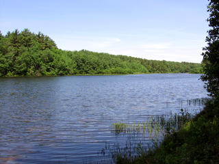 Eagle Lake Wildlife Sanctuary