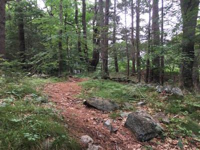 Endicott Wildlife Sanctuary