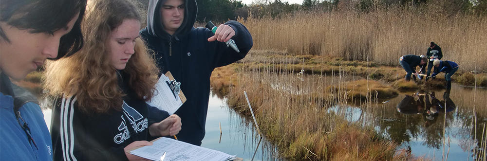 Students taking saltmarsh data