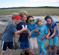 endicott programs coast