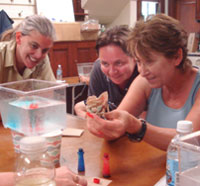 Teachers in a workshop at Endicott Wildlife Sanctuary