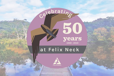 Felix Neck 50th Anniversary logo superimposed on an image of the sanctuary © Lynne Chevoya