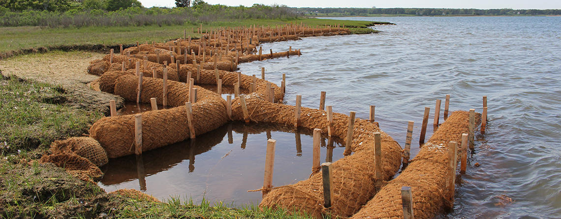 Coir logs are part of the Living Shoreline Project at Felix Neck