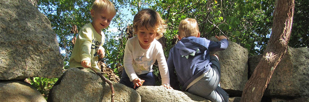 Preschoolers climbing a stone wall at Felix Neck