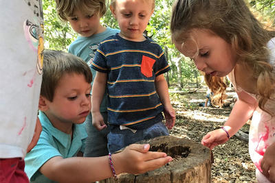 Felix Neck preschoolers examining a log for critters