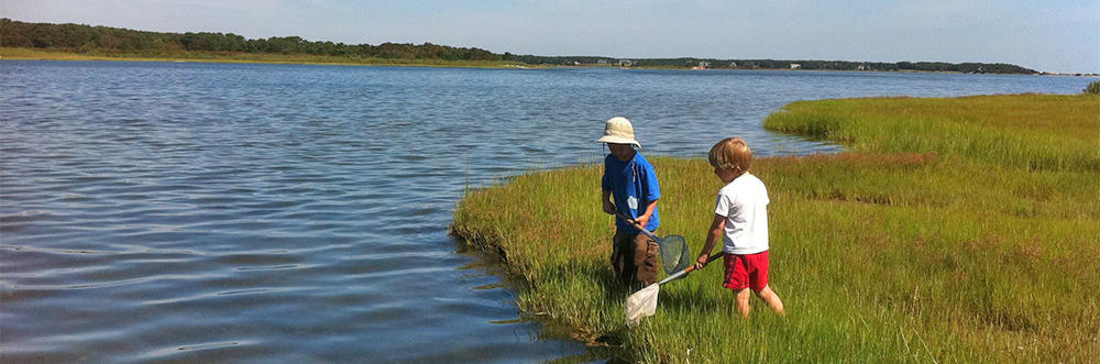 Kids playing in the marsh at Felix Neck Wildlife Sanctuary