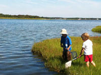 Two boys with nets at the marsh