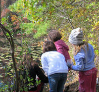Students looking at plants