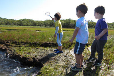 Three boys with dipnet exploring a marsh at Felix Neck