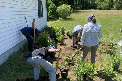 Great Neck Garden Club members planting a pollinator habitat