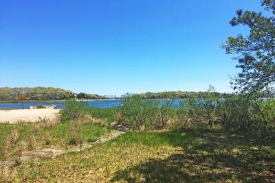 New shoreline area open to visitors at Great Neck Wildlife Sanctuary