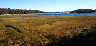 Salt marsh in fall at Great Neck Wildlife Sanctuary © Jesse Ferreira