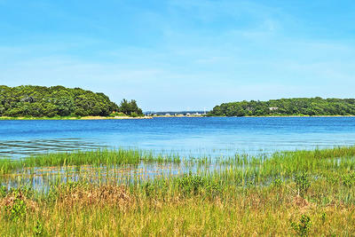 View across the salt marsh in summer at Great Neck Wildlife Sanctuary