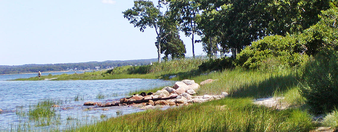 View of the shore at Great Neck Wildlife Sanctuary © Marsella Blythe