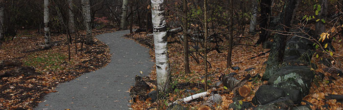 All Persons Trail at Habitat © Stu Weinreb