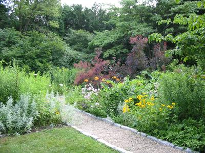 Arboretum in July © Sandy Vorce, Mass Audubon