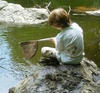 Boy with a pond net