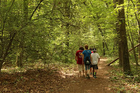 Family on a woodland trail at Habitat Education Center